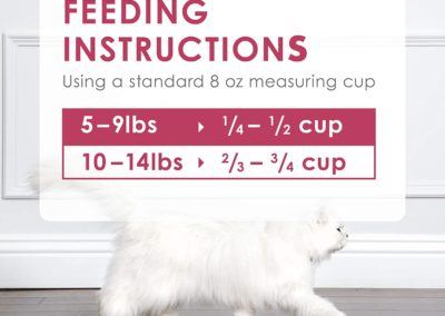 Purina-Fancy-Feast-Dry-Cat-Food-Feeding-Instructions