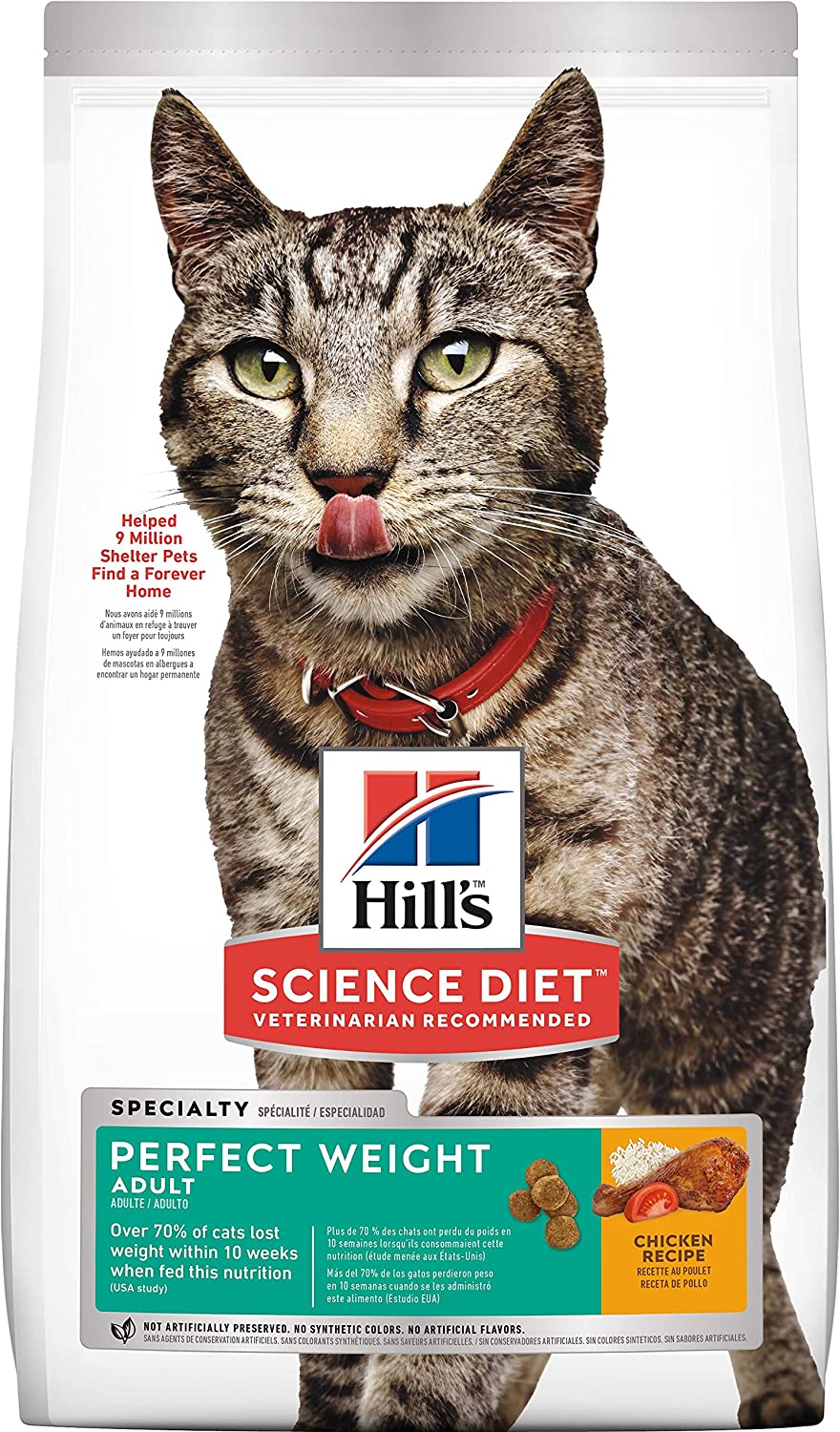 Purina ONE Dry Cat Food