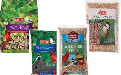 Best Bird Food of 2021